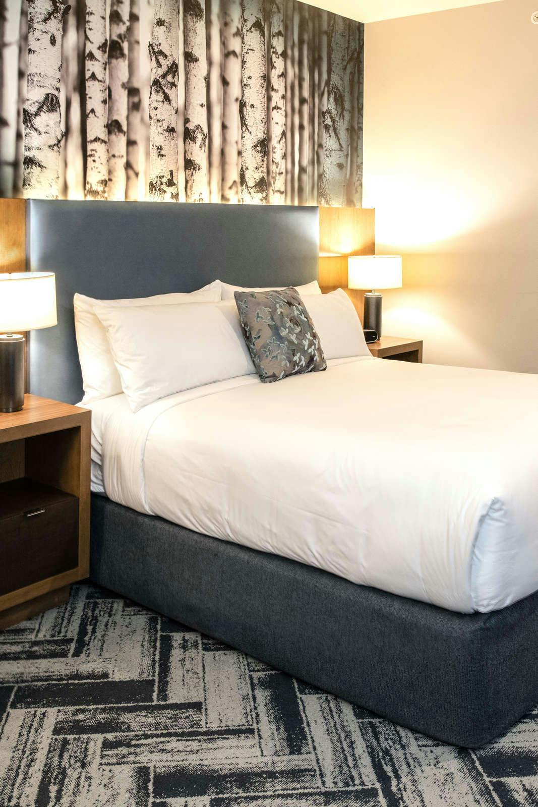 Hotel The Alder at Resort World Catskills photo 3