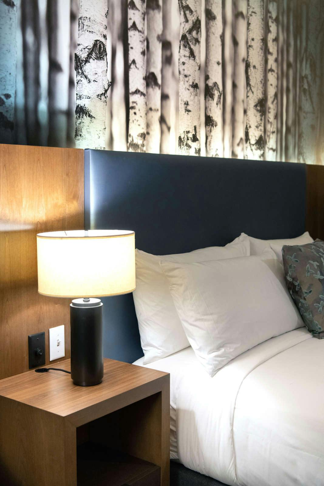 Hotel The Alder at Resort World Catskills photo 5