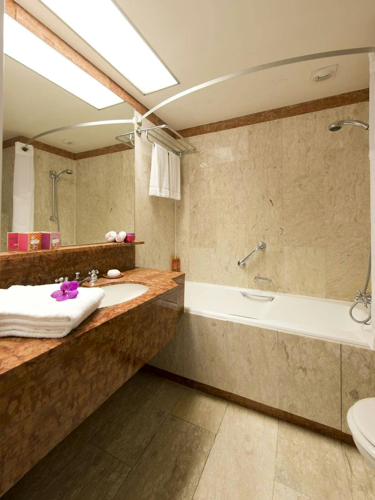 Hotel Holiday Inn Nice photo 5