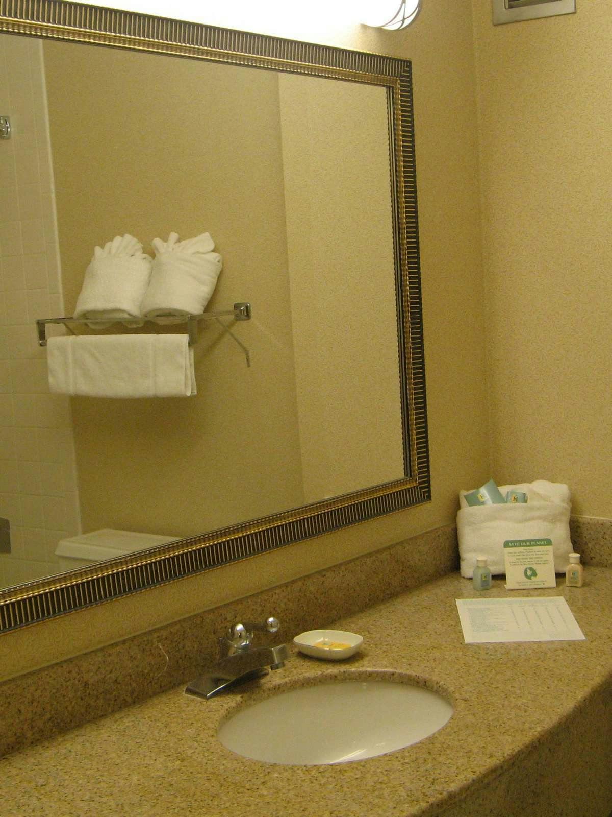 Hotel Holiday Inn Roanoke Tanglewood Routes 419 & I581 photo 3