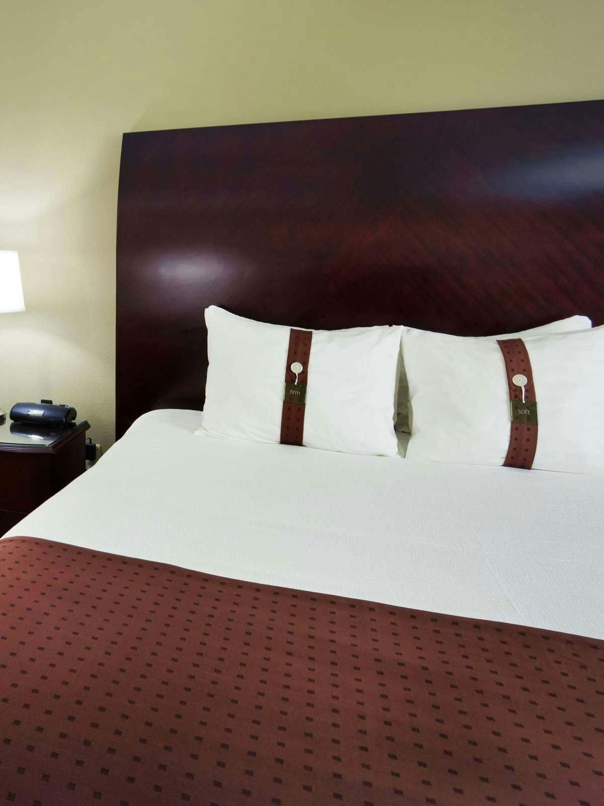 Hotel Holiday Inn Rock Hill photo 1