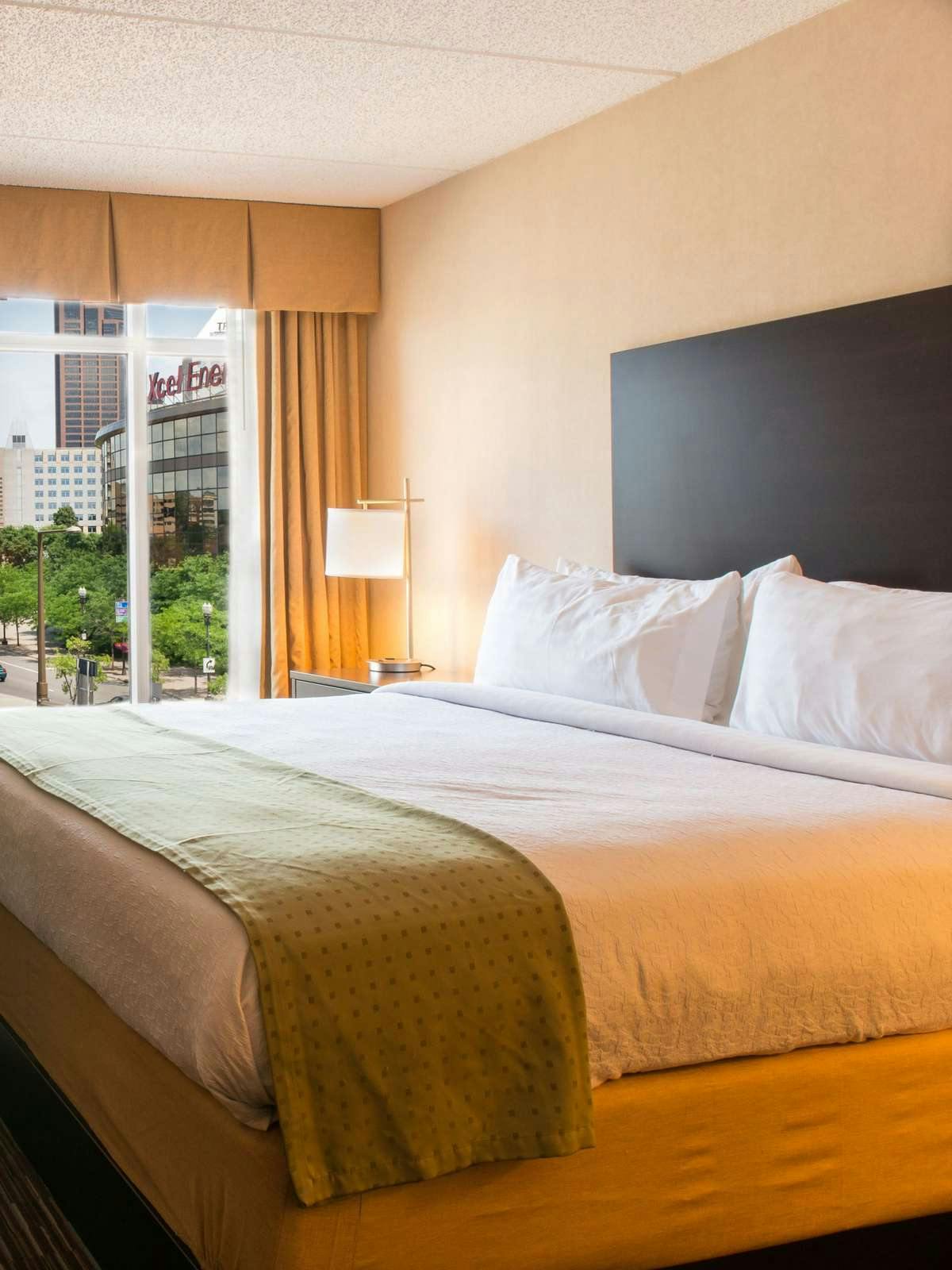 Hotel Holiday Inn St. Paul Downtown photo 1