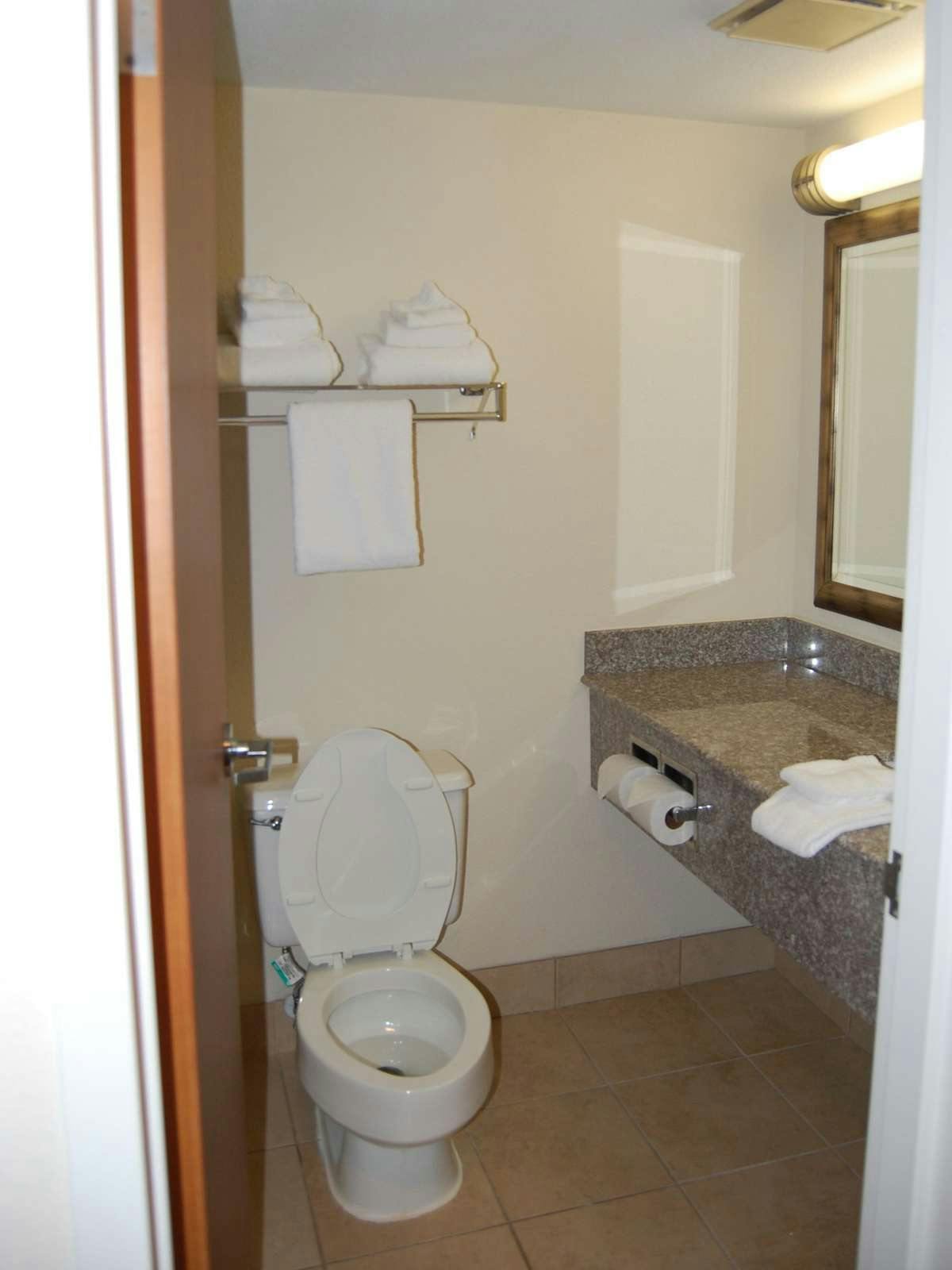Hotel Holiday Inn Staunton Conference Center photo 3
