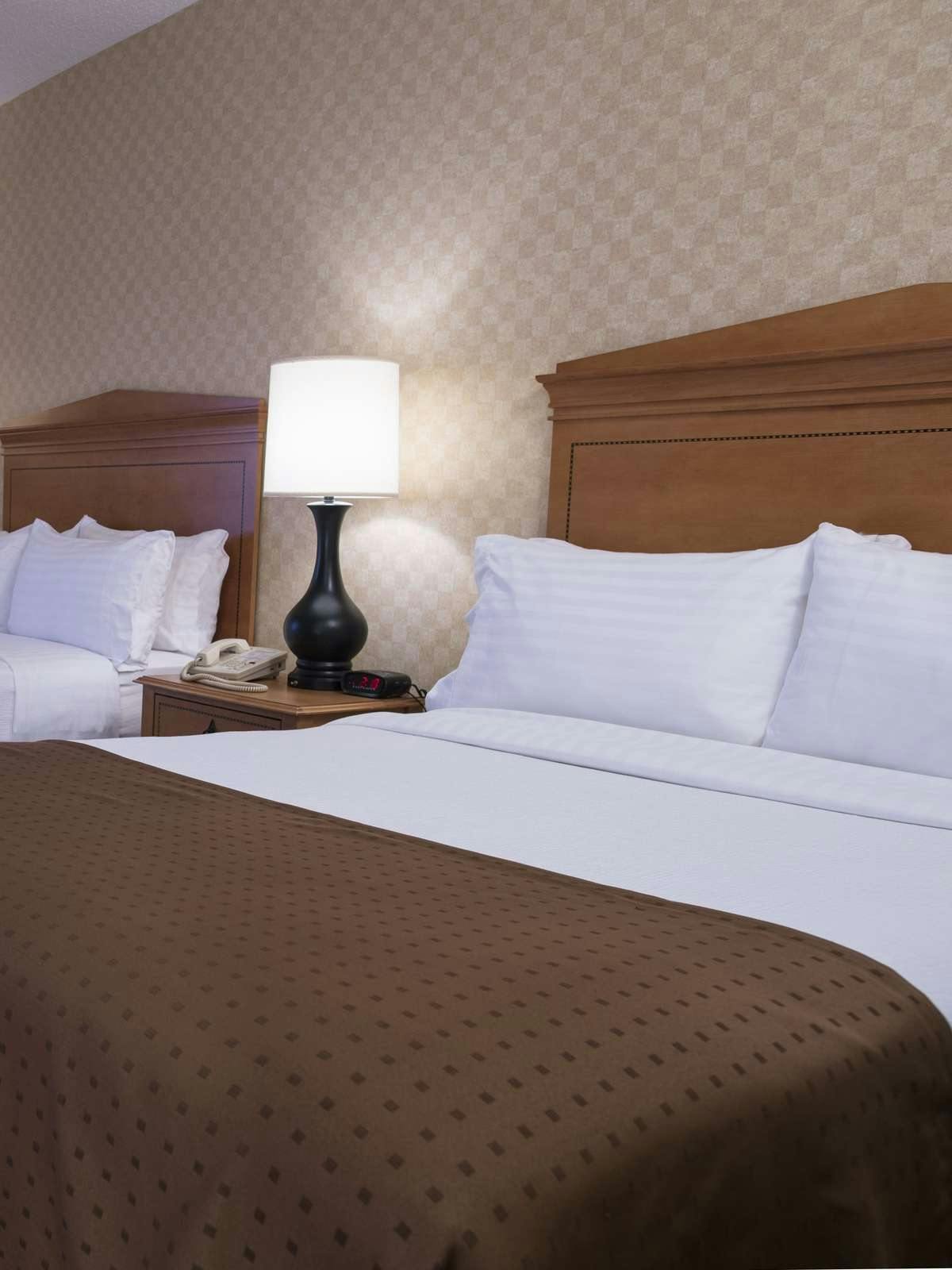 Hotel Holiday Inn Washington Dulles Intl Airport photo 1