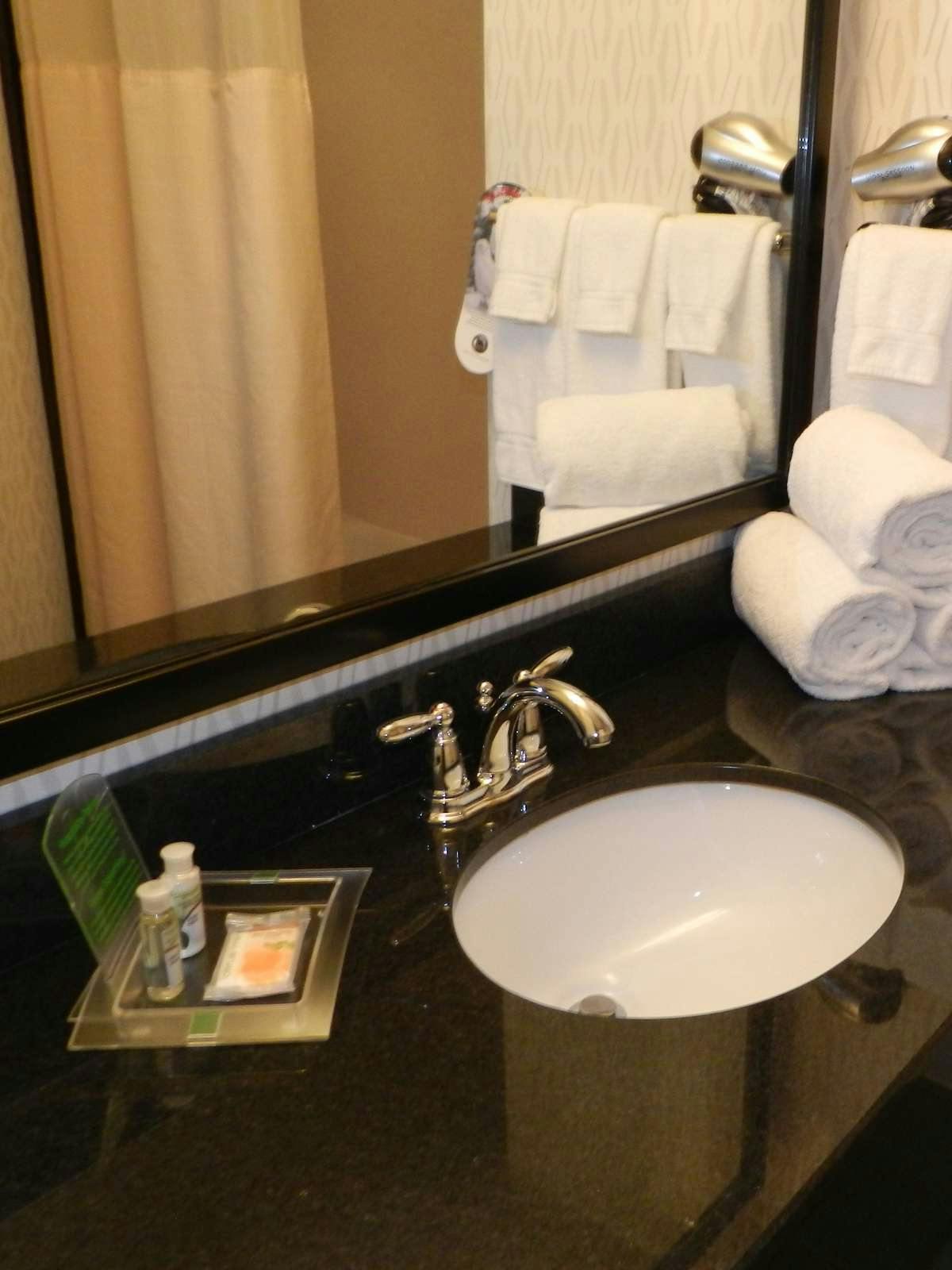 Hotel Holiday Inn Wilsonville photo 3