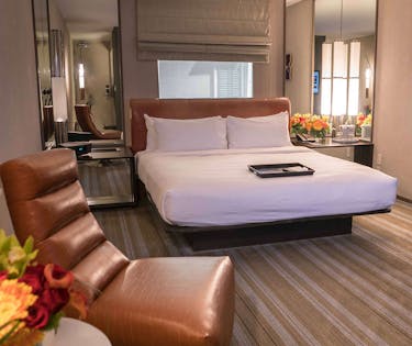 Mgm Grand Las Vegas South Strip Hoteltonight