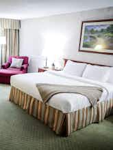 Hotel Hotel Piccadilly photo 3