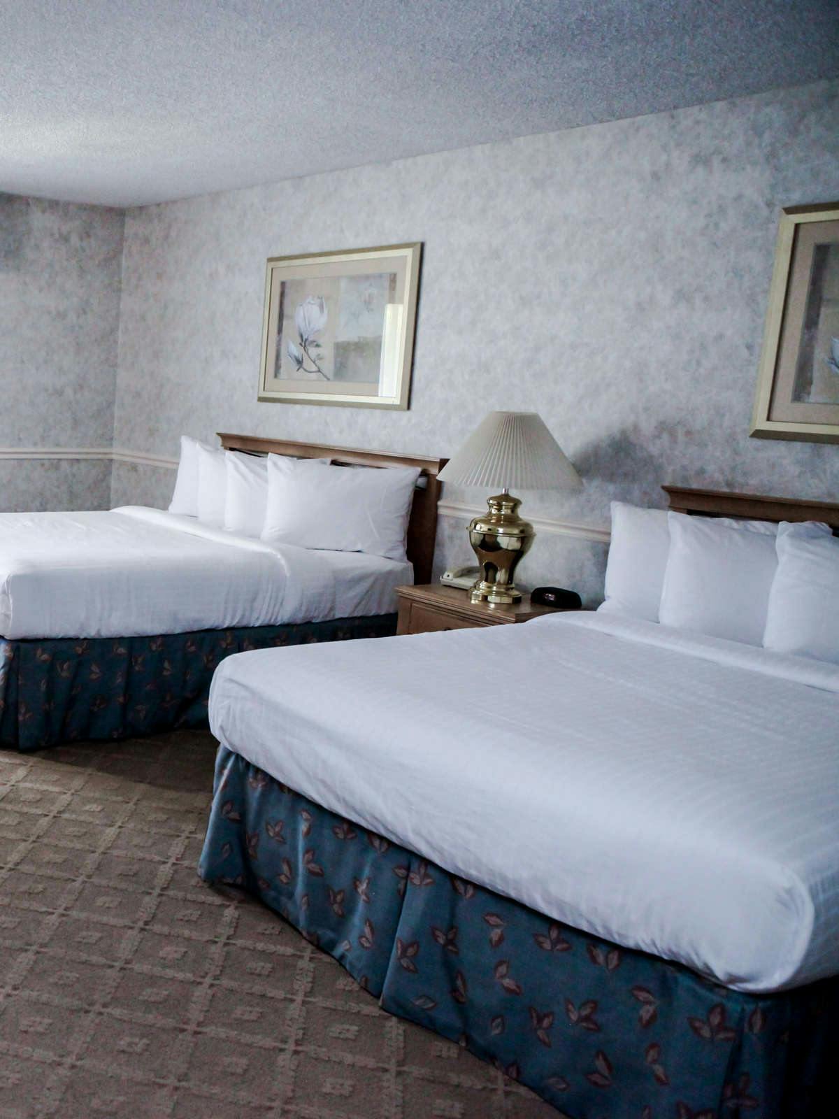 Hotel Hotel Piccadilly photo 4
