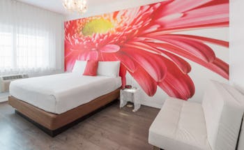 The Penguin Hotel