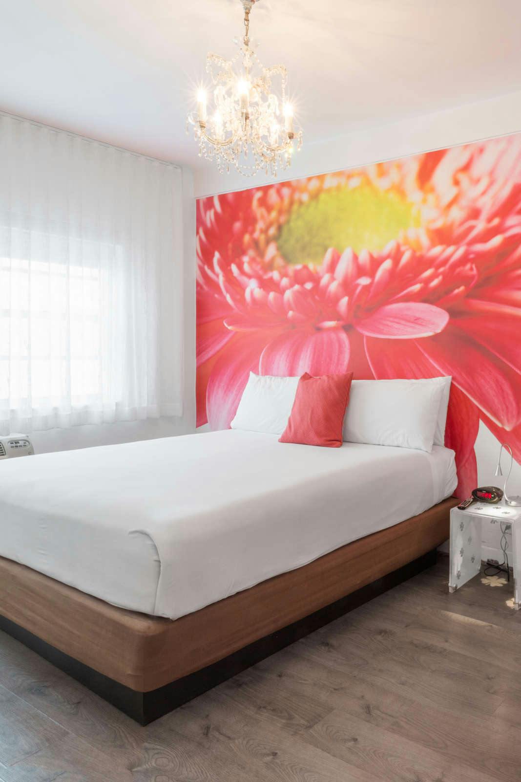 Hotel The Penguin Hotel photo 3