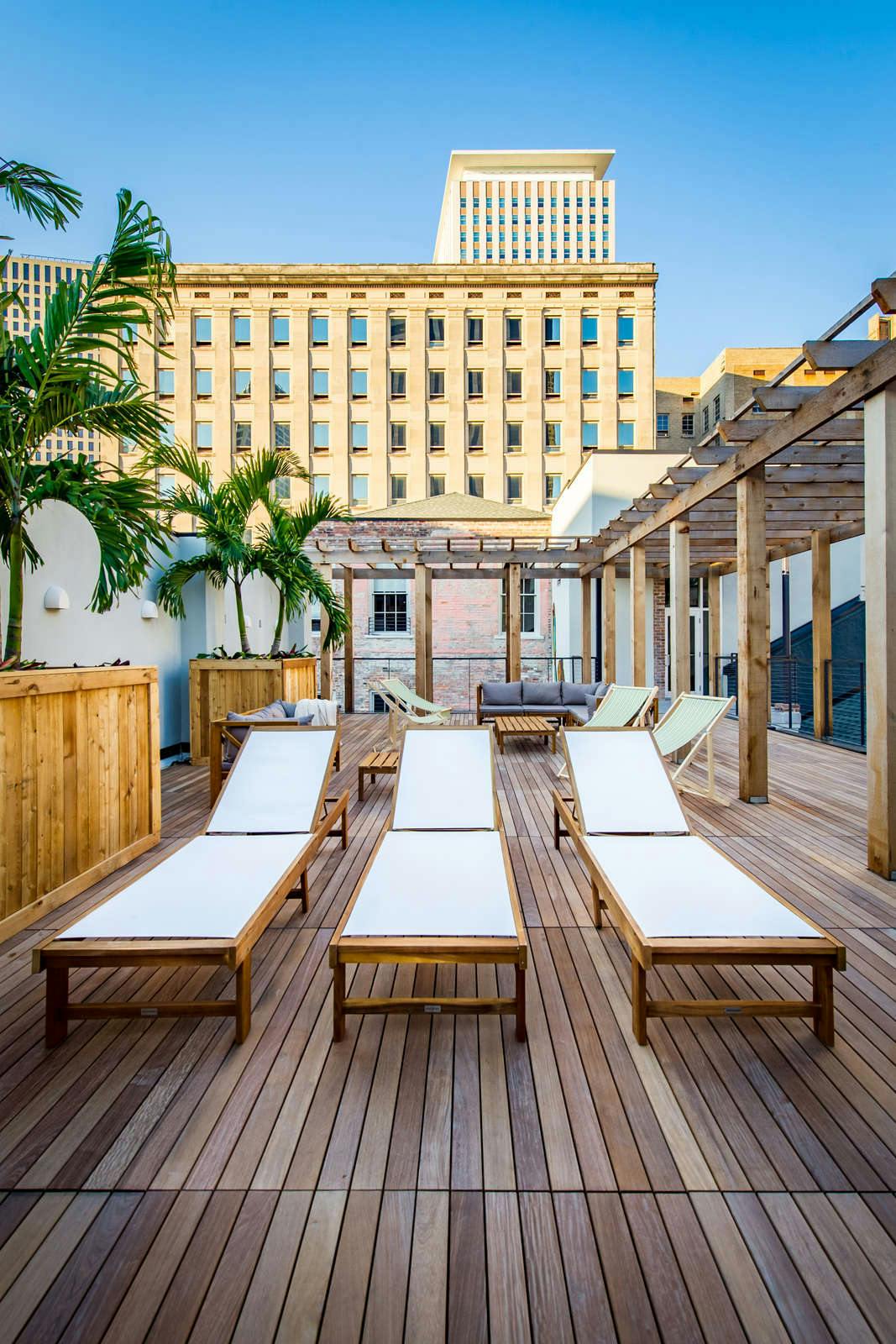 Catahoula New Orleans