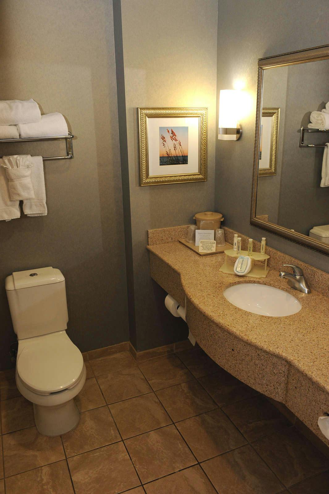 Hotel Holiday Inn Express & Suites Mt. Pleasant photo 3