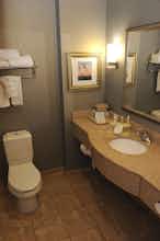 Hotel Holiday Inn Express & Suites Mt. Pleasant photo 3