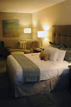 Hotel Crowne Plaza Charleston Airport photo 1