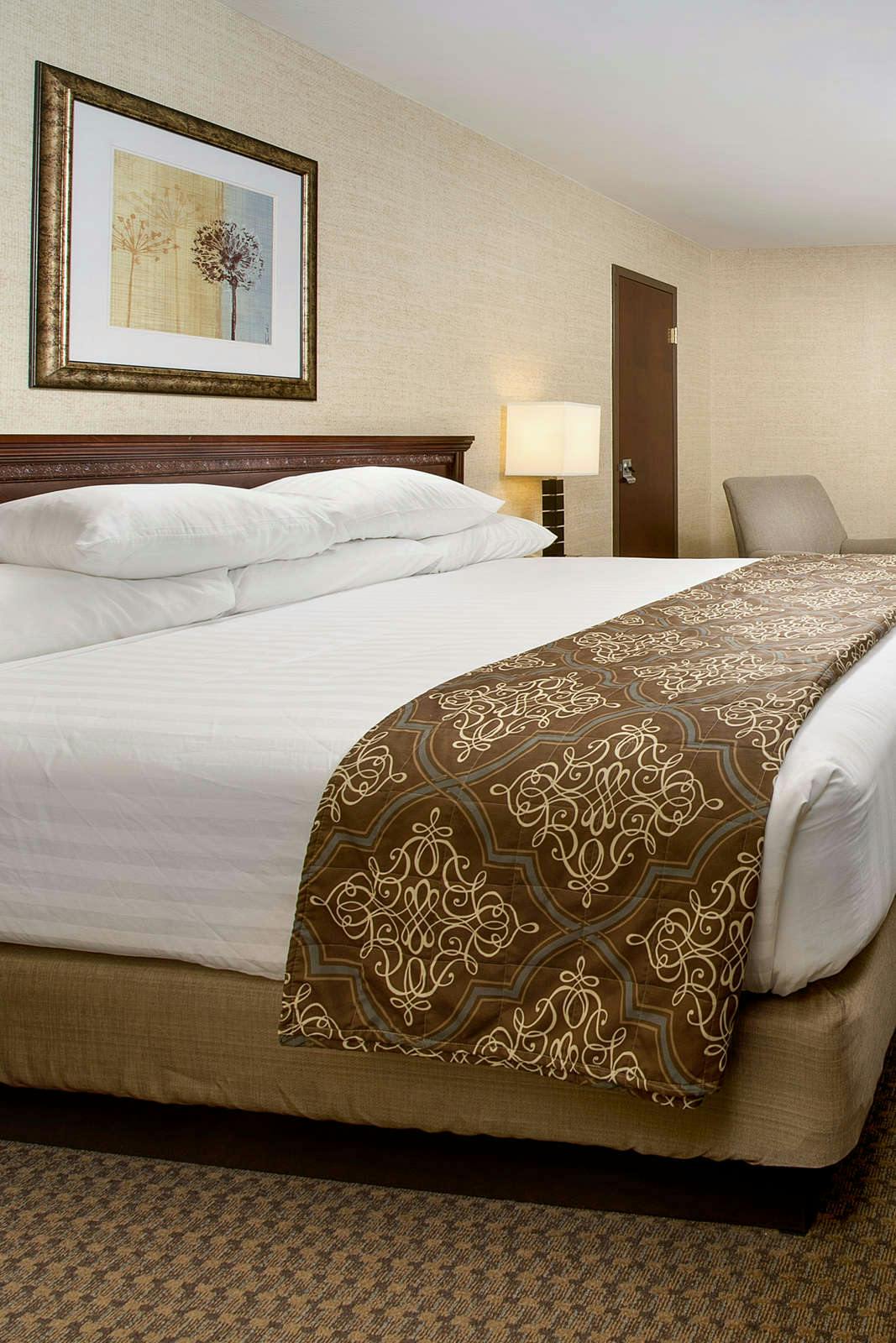 Hotel Drury Inn and Suites St Louis Fairview Heights photo 2