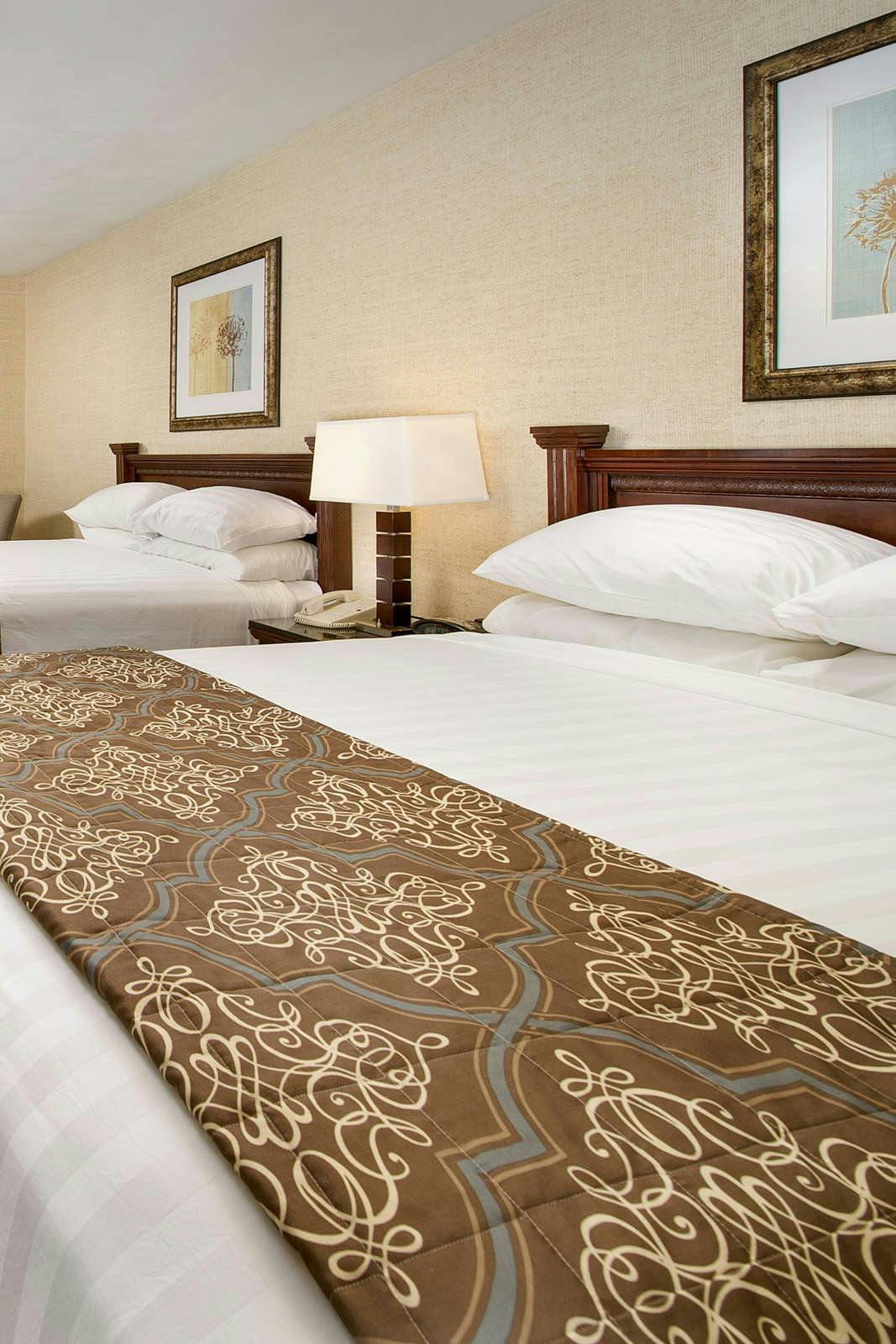 Hotel Drury Inn and Suites St Louis Fairview Heights photo 4