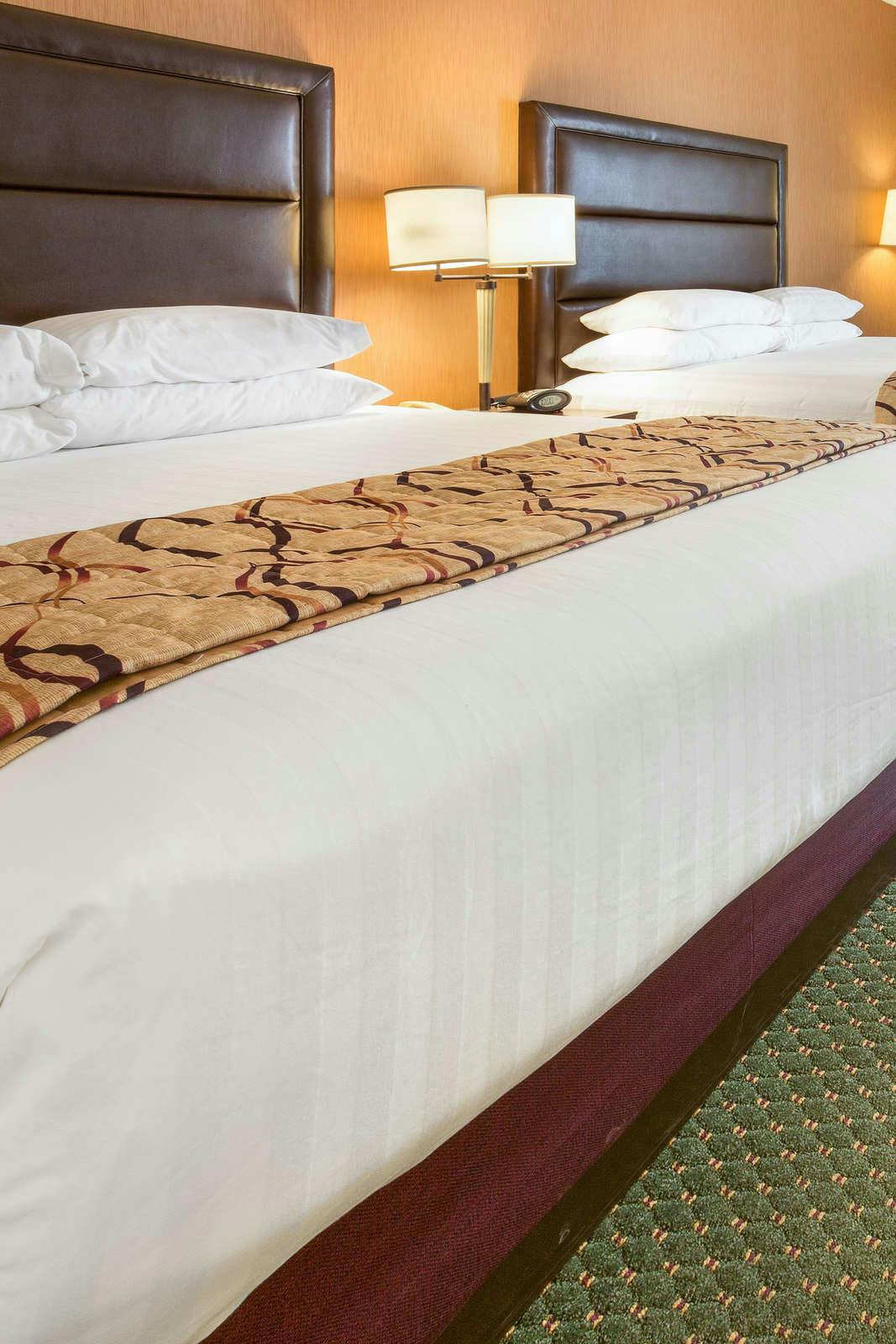 Hotel Drury Inn and Suites Bowling Green photo 3