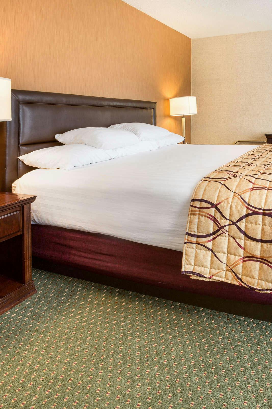 Hotel Drury Inn and Suites Bowling Green photo 5