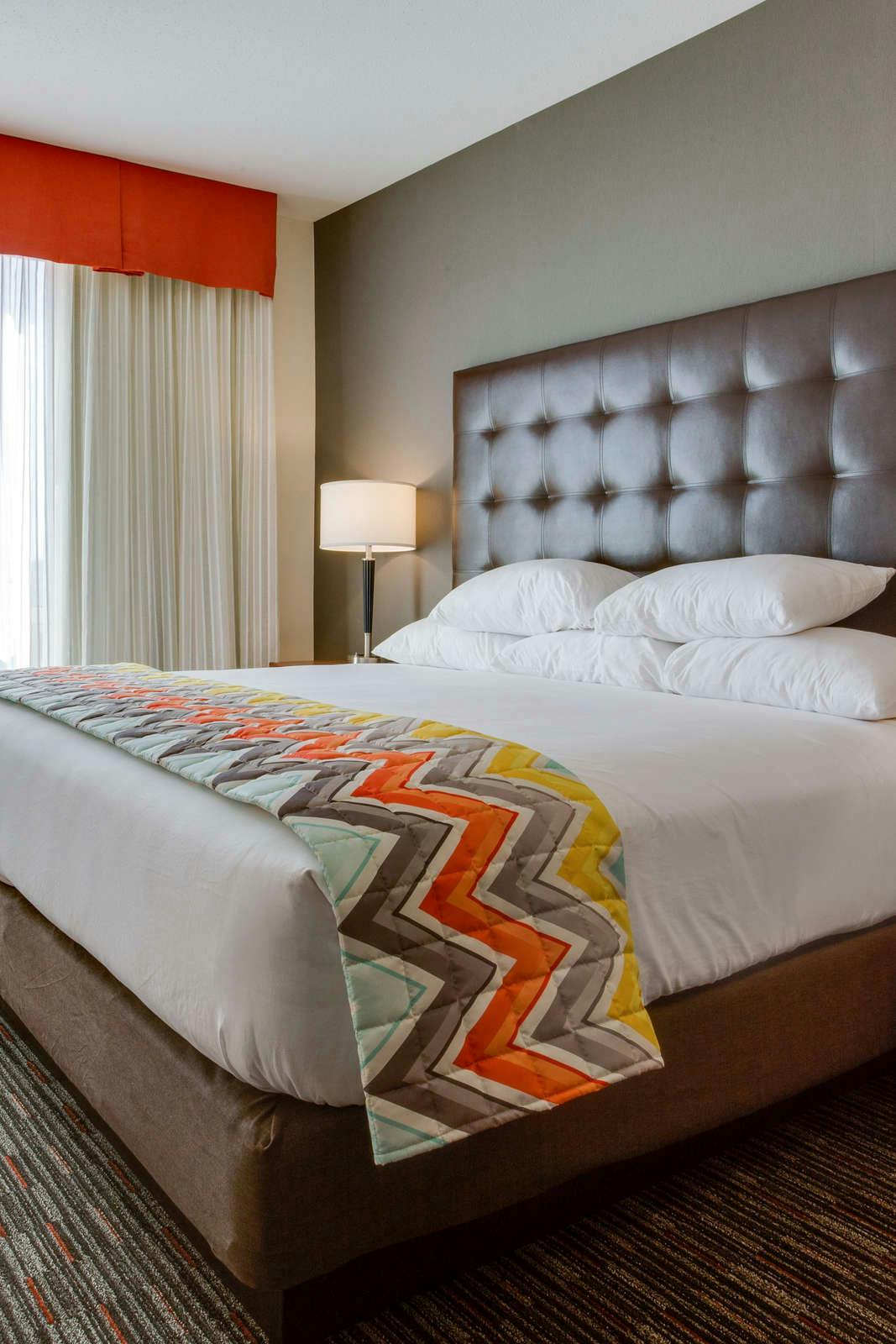 Hotel Drury Inn and Suites Charlotte Arrowood photo 2