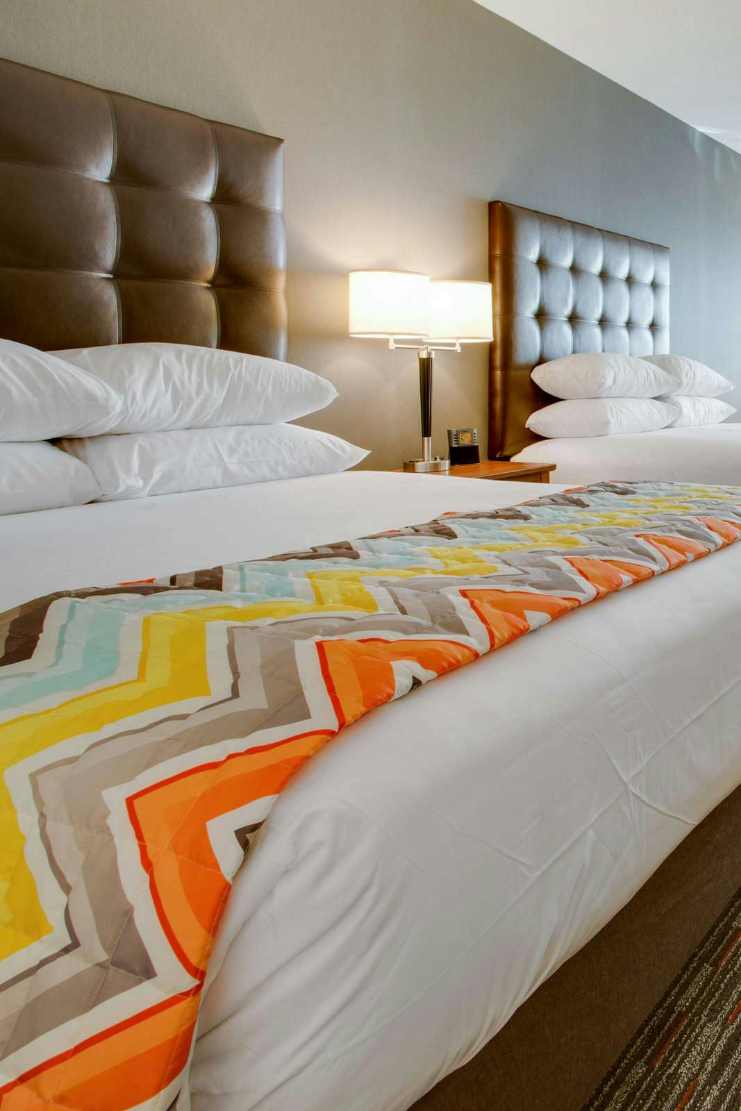 Hotel Drury Inn and Suites Charlotte Arrowood photo 3