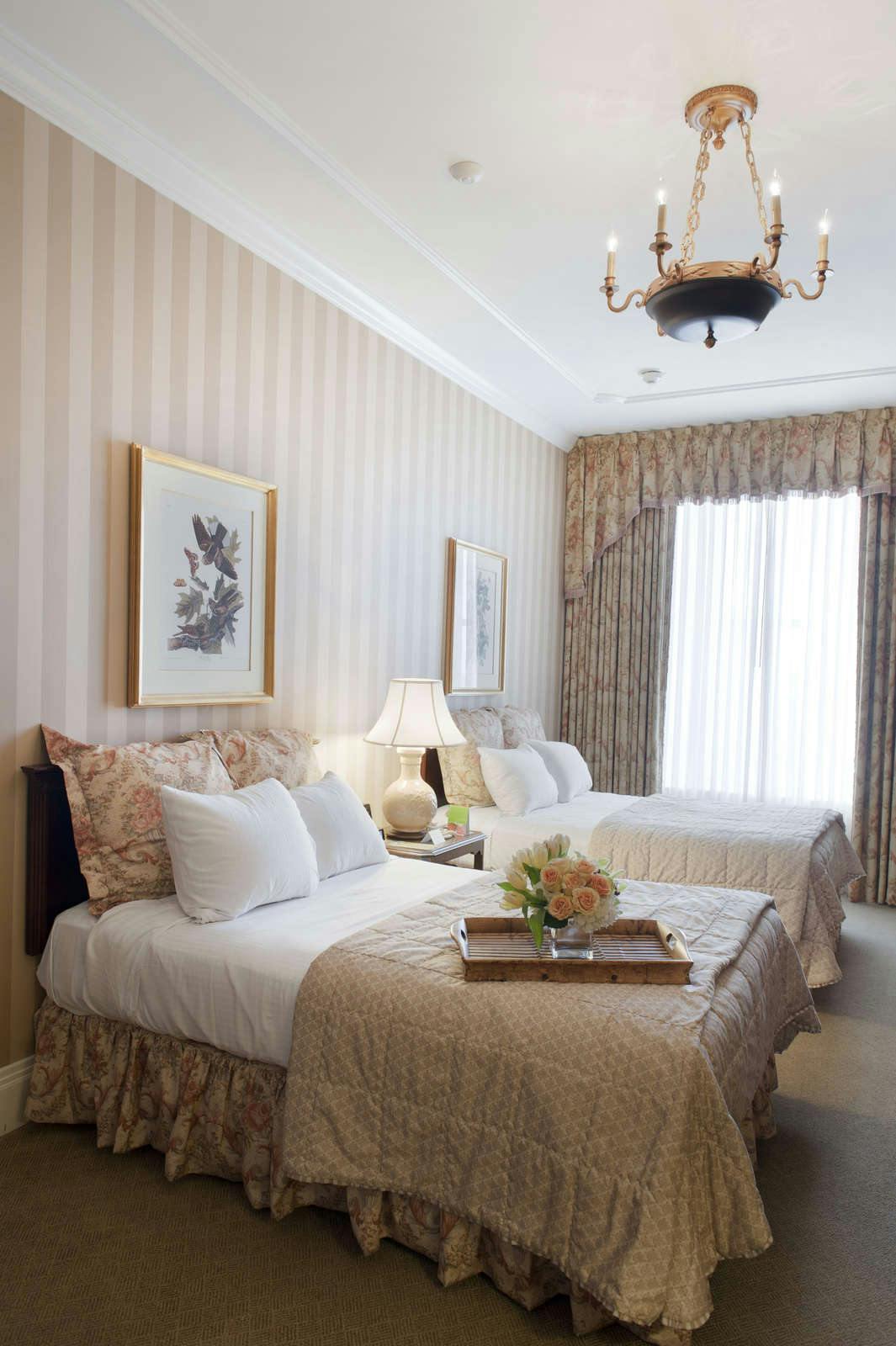 Hotel Hotel Monteleone photo 1