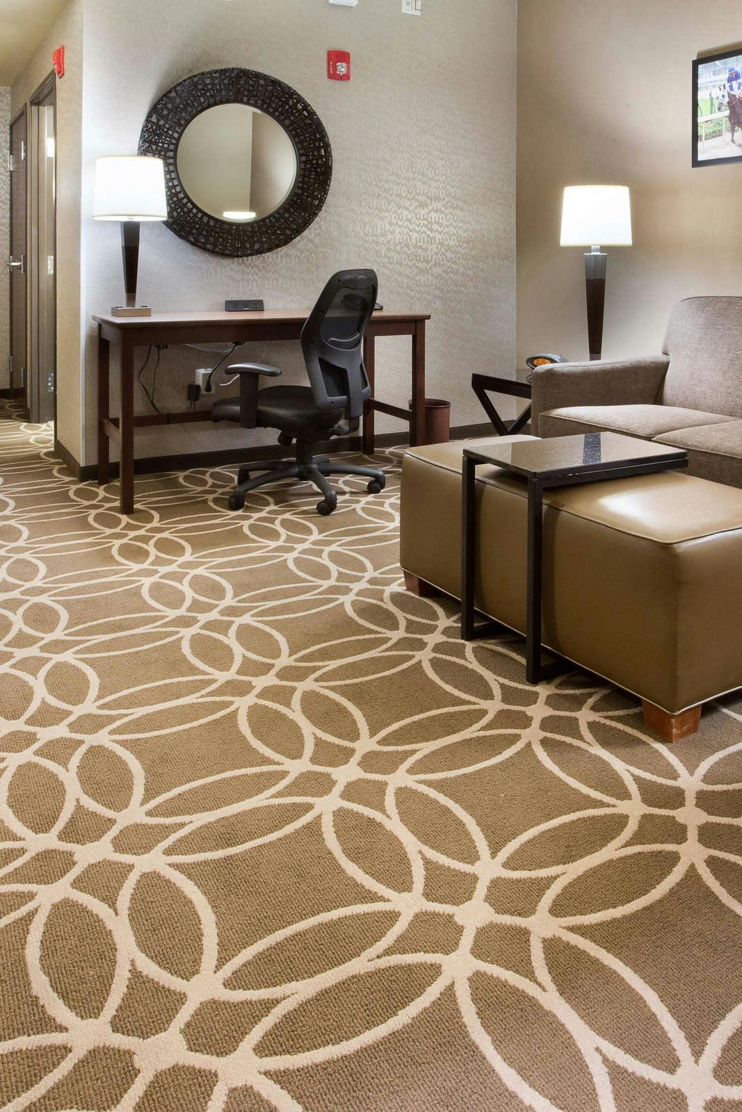 Hotel Drury Inn and Suites Louisville North photo 4