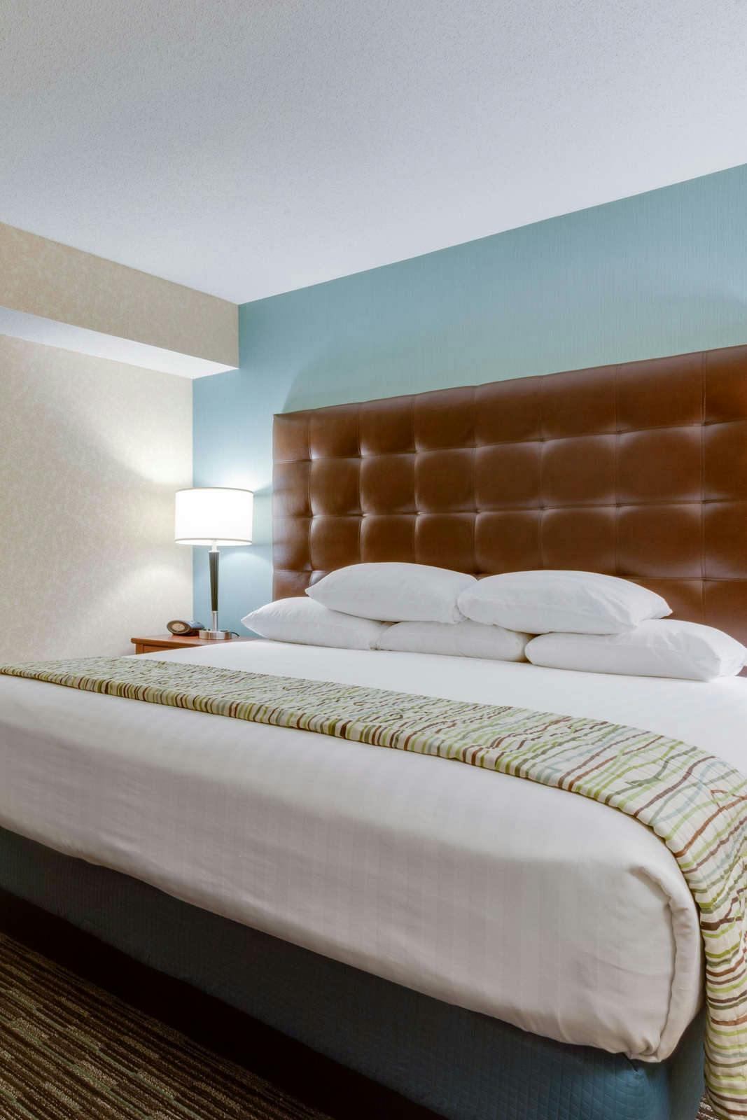 Hotel Drury Inn and Suites Birmingham Grandview photo 1