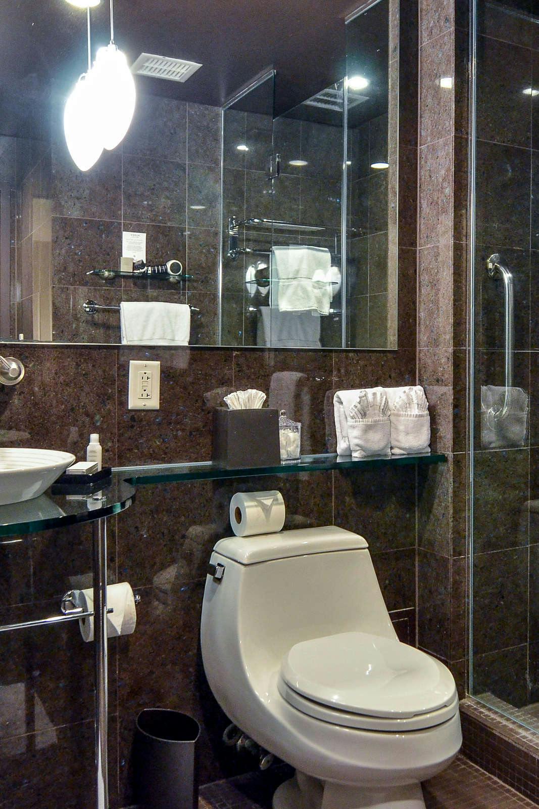 Hotel Sam Houston Curio by Hilton photo 2