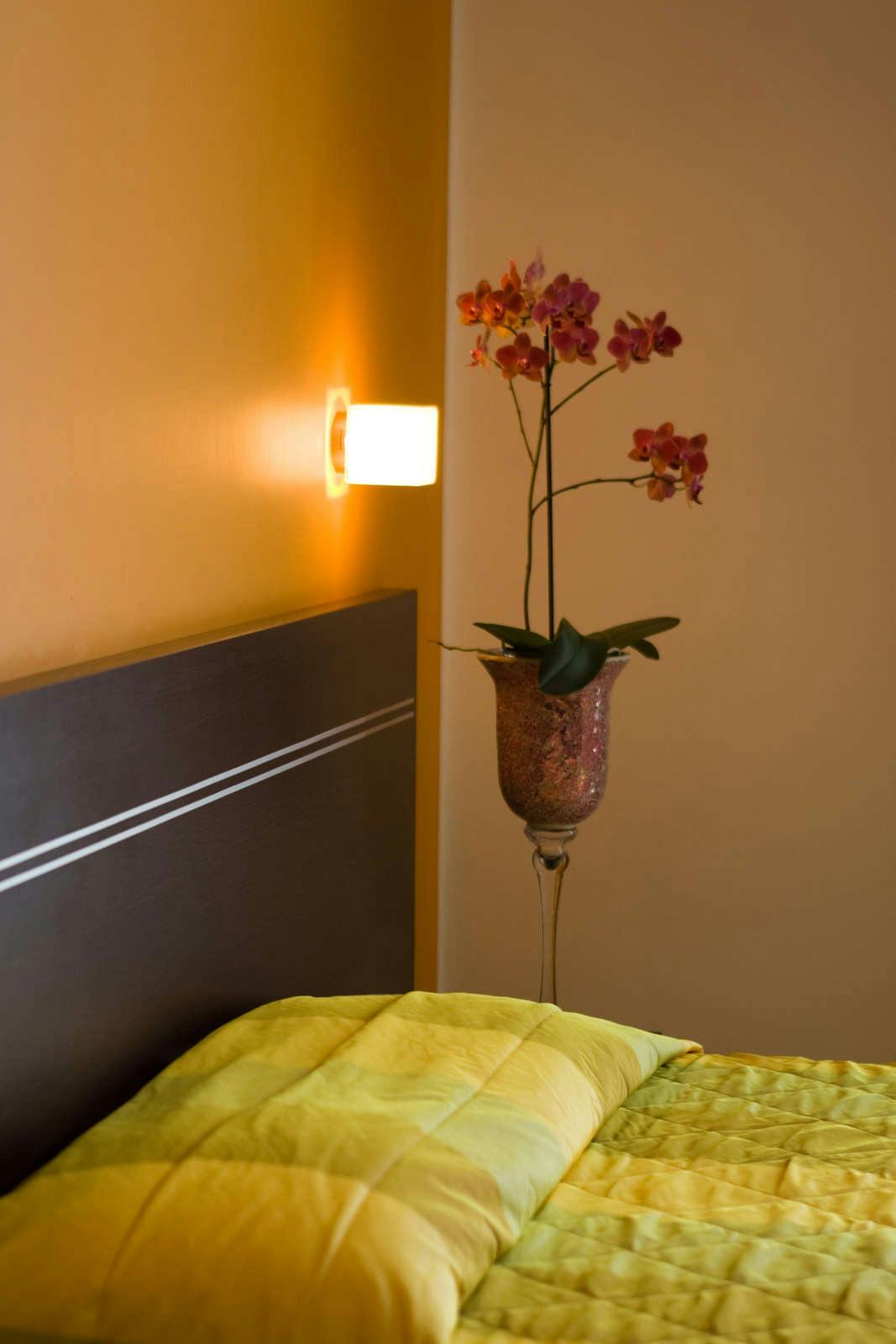 Hotel Hotel Panama Majestic photo 3