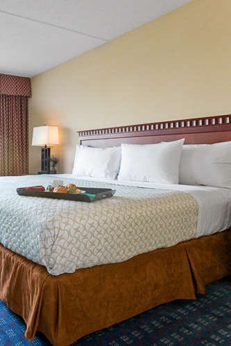 Embassy Suites Waltham Boston Hoteltonight