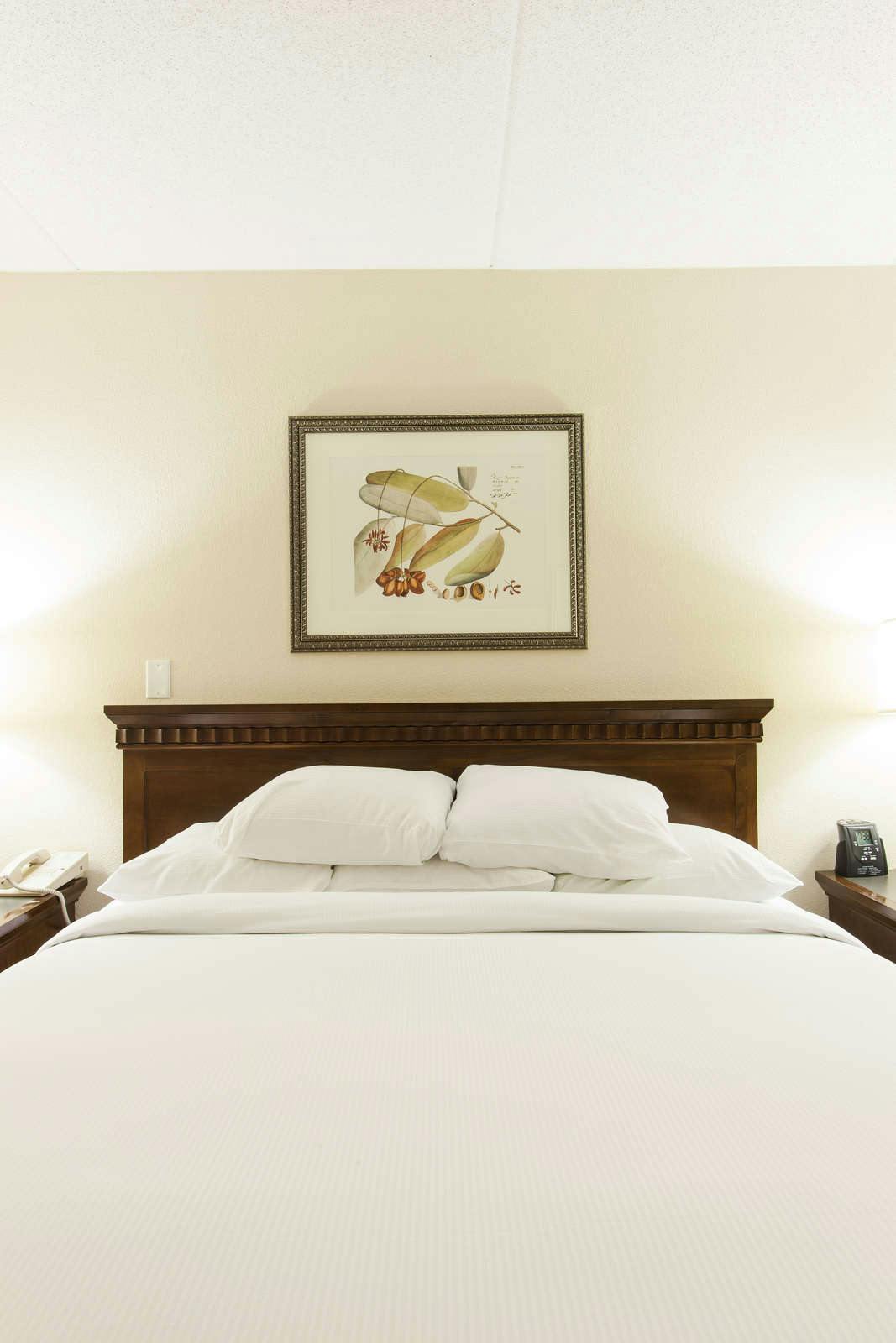 Hotel Embassy Suites by Hilton Indianapolis North photo 5