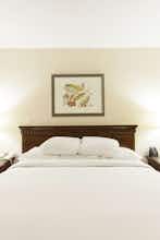 Hotel Embassy Suites Indianapolis North photo 5