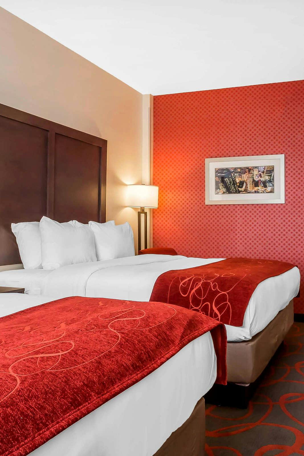 Hotel Comfort Inn & Suites near Stadium photo 4