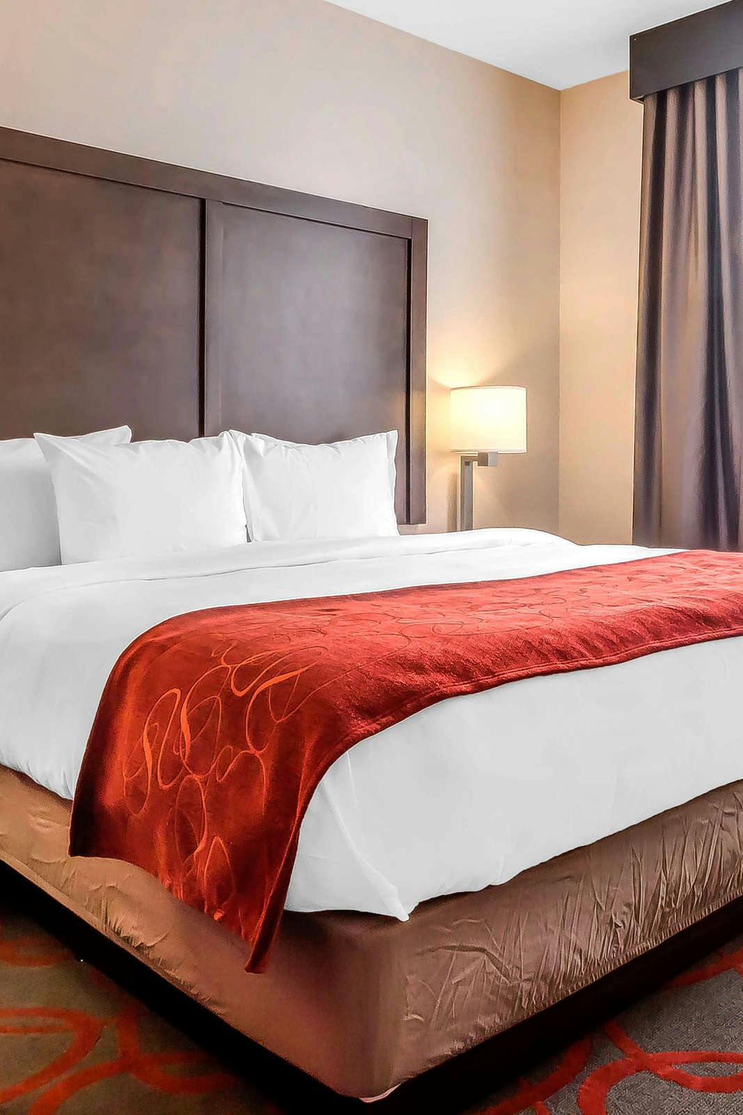 Hotel Comfort Inn & Suites near Stadium photo 2