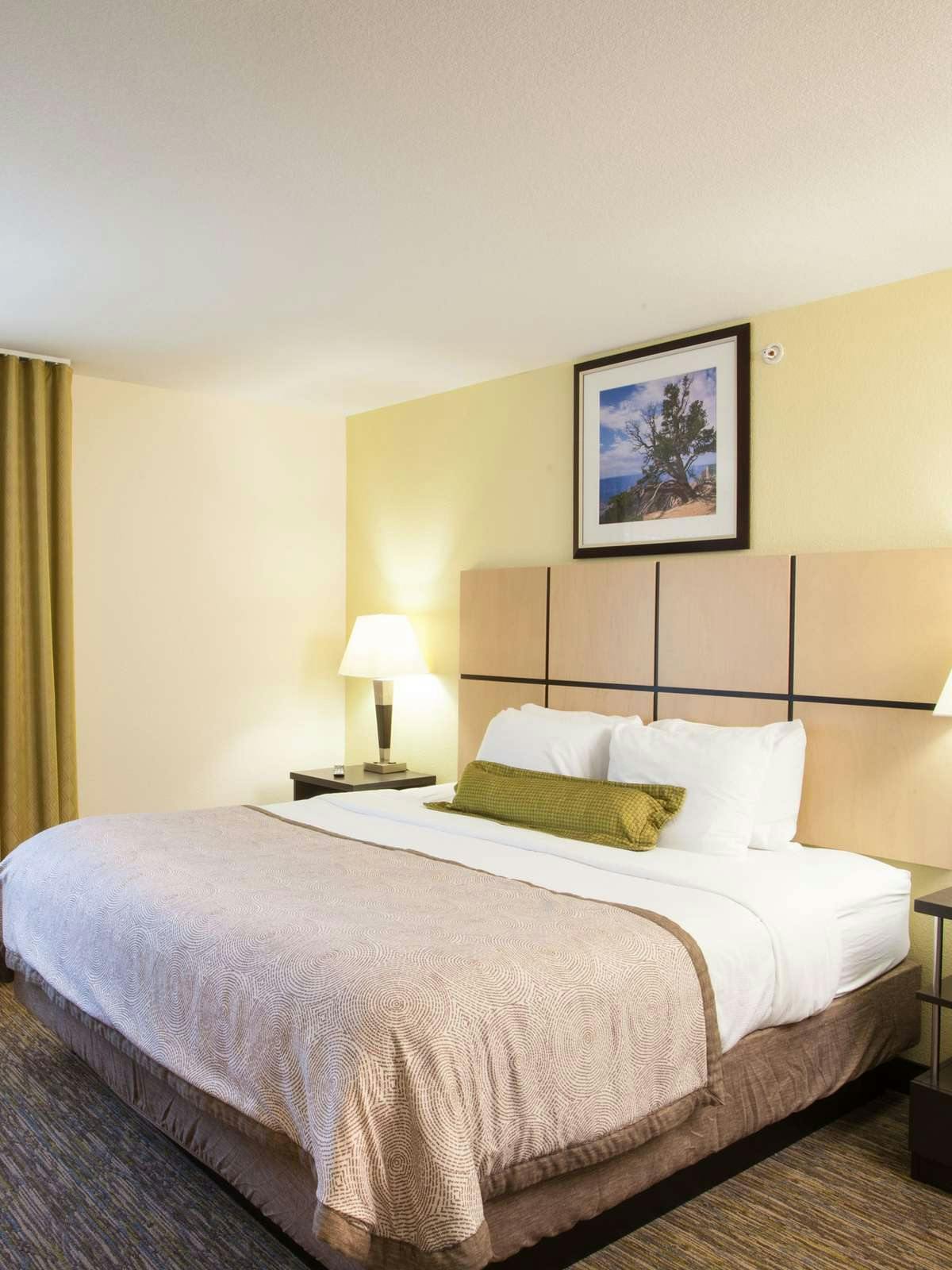 Hotel Candlewood Suites New Braunfels photo 1