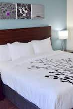 Hotel Sleep Inn & Suites near Westchase photo 3