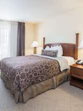 Hotel Staybridge Suites El Paso Airport photo 1