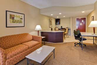 Hotel Holiday Inn Express Oldsmar photo 3