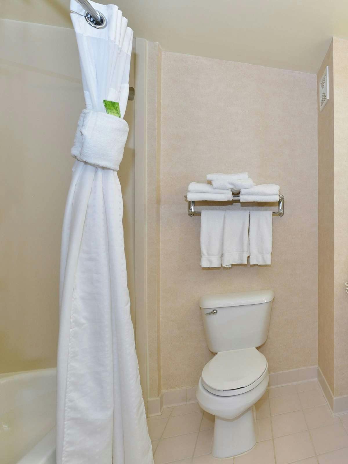 Hotel Holiday Inn Express Hotel & Suites Petersburg photo 2