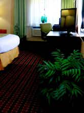 Hotel Holiday Inn Express Stony Brook Long Island photo 2