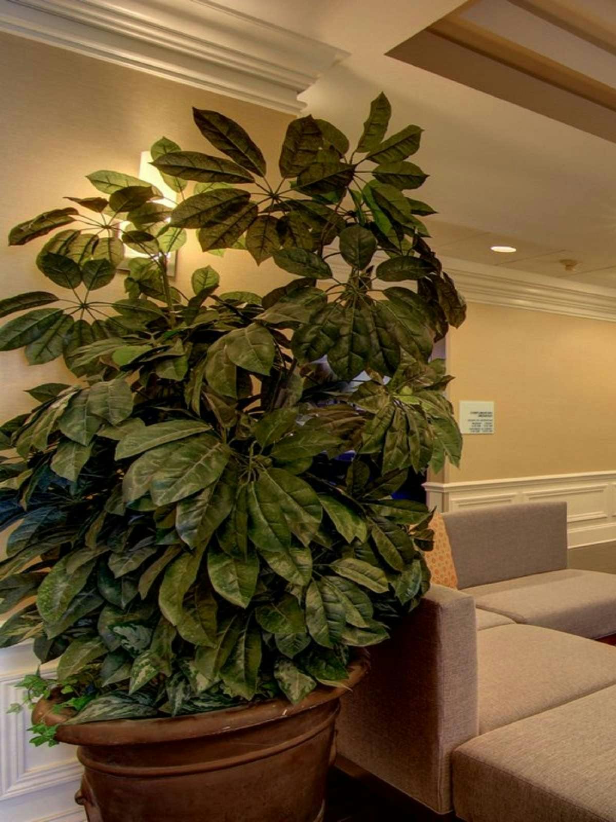 Hotel Holiday Inn Express Hotel & Suites Alpharetta photo 1