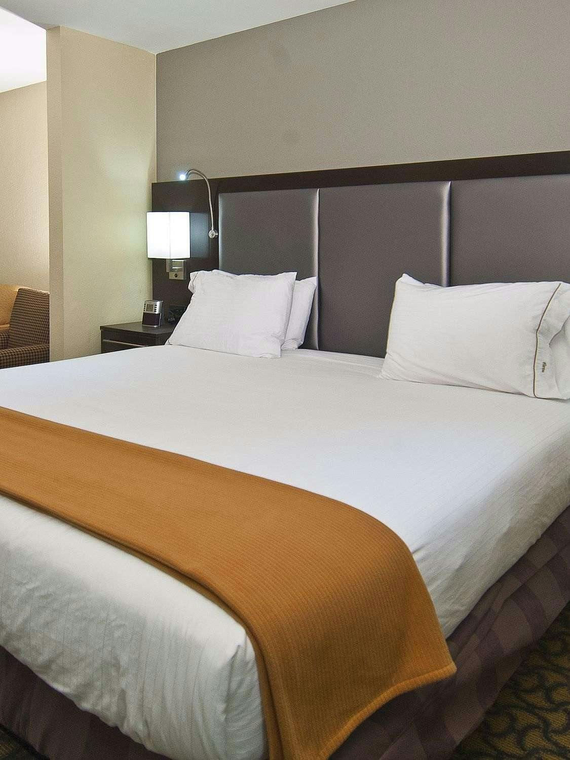 Hotel Holiday Inn Express Hotel & Suites Jackson/Pearl Intl Airport photo 1