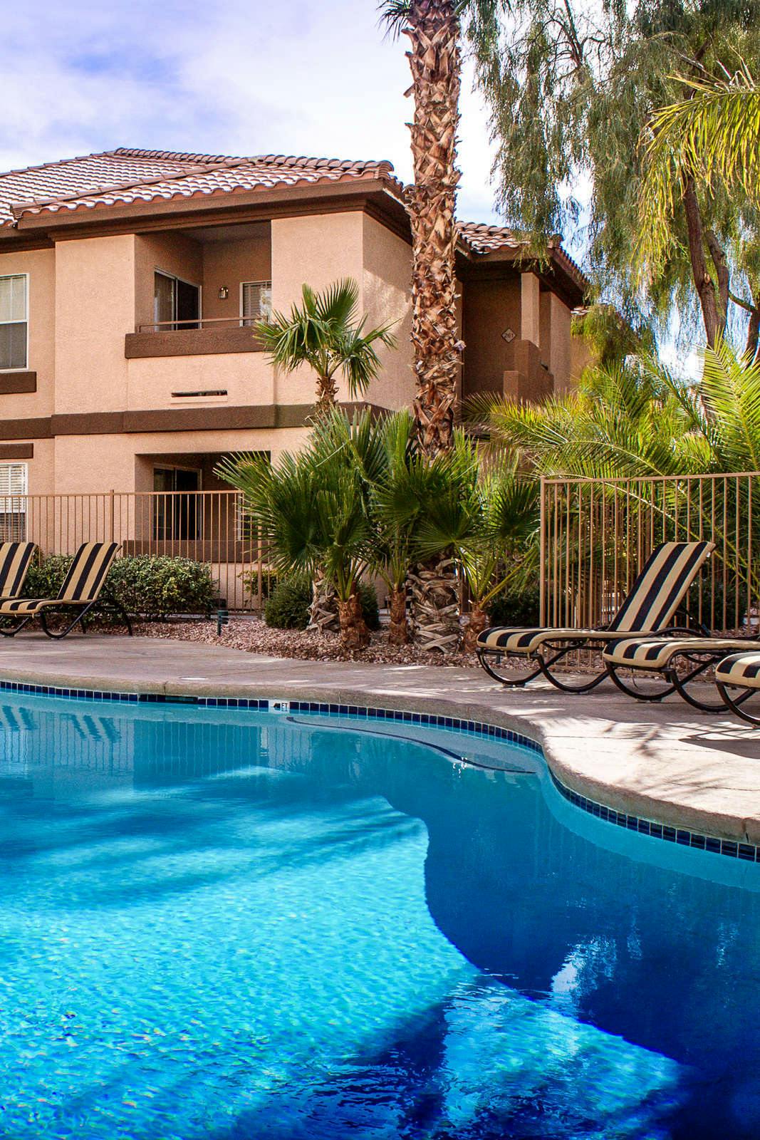 Hotel Desert Paradise Resort photo 2