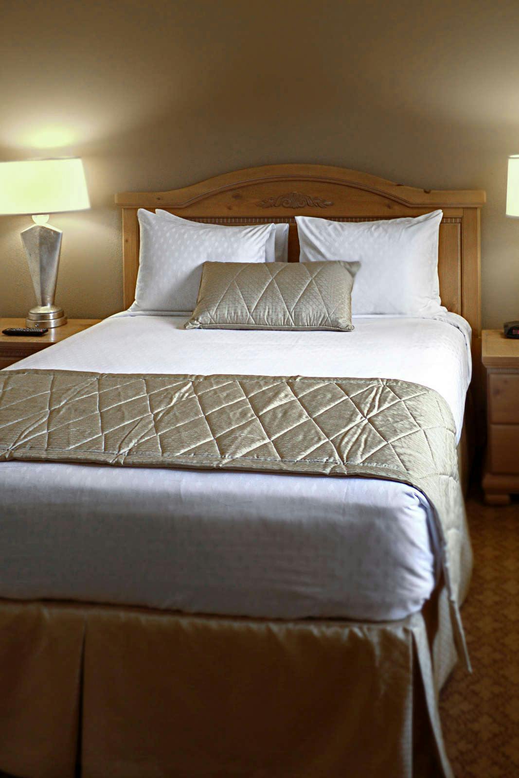 Hotel Desert Paradise Resort photo 1