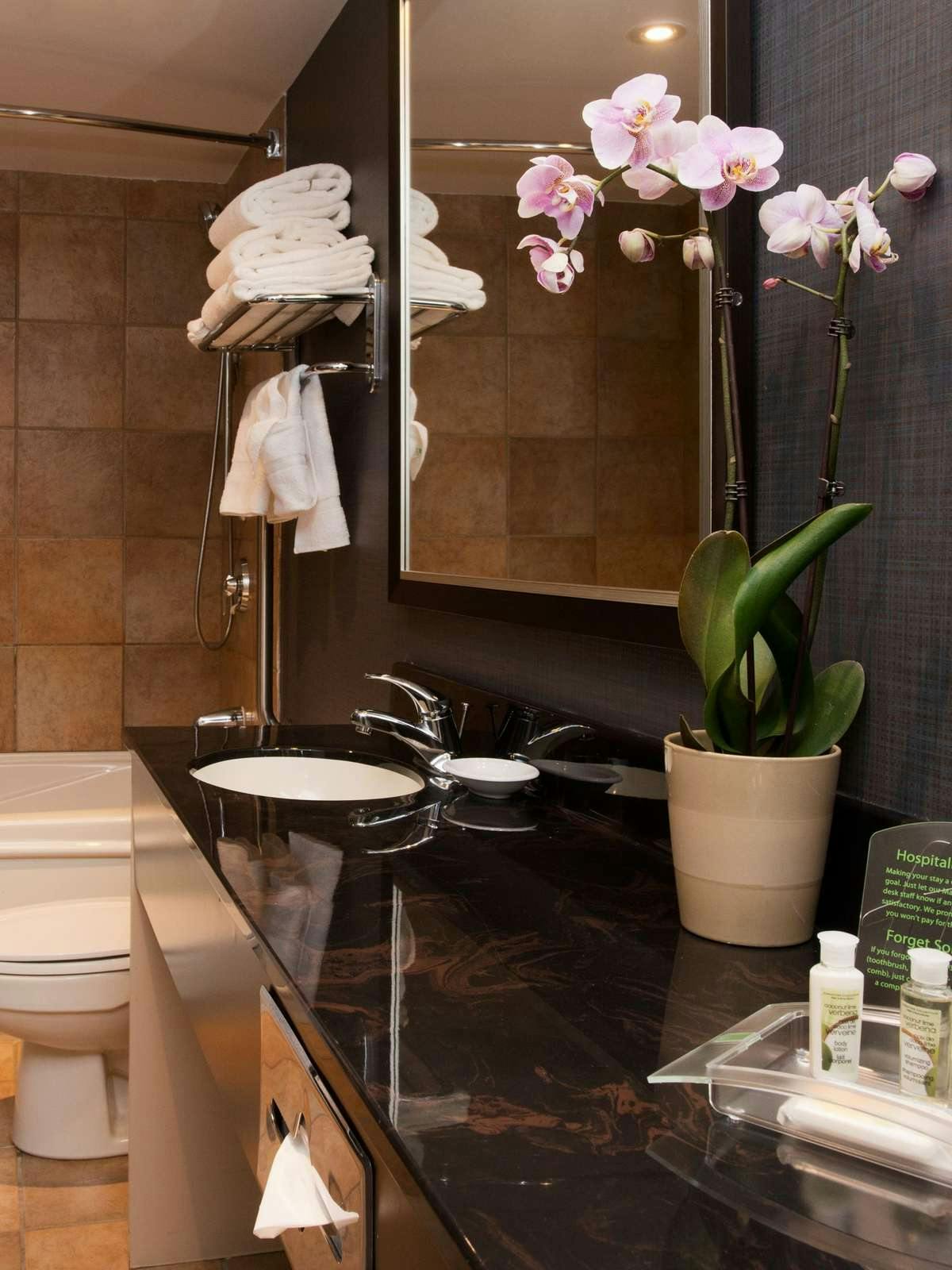 Hotel Holiday Inn Hotel & Suites Mississauga West Meadowvale photo 3