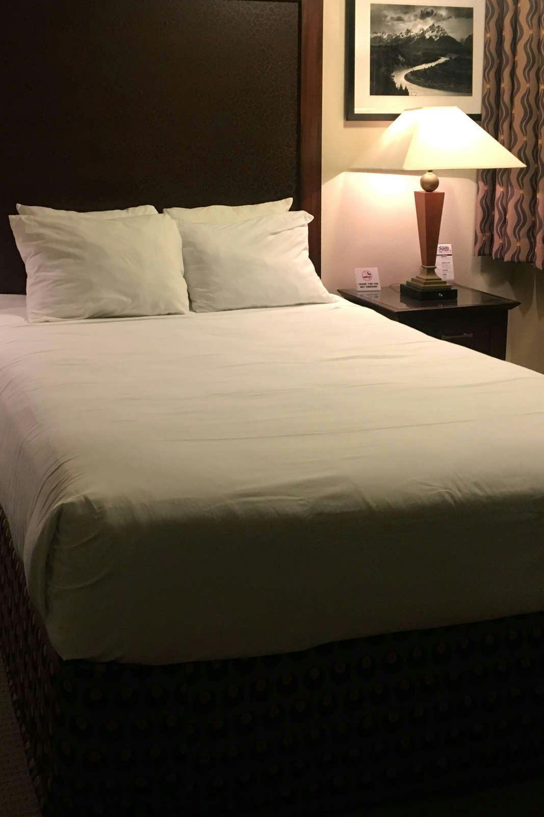 Shilo Inn Rose Garden Portland Or Hoteltonight