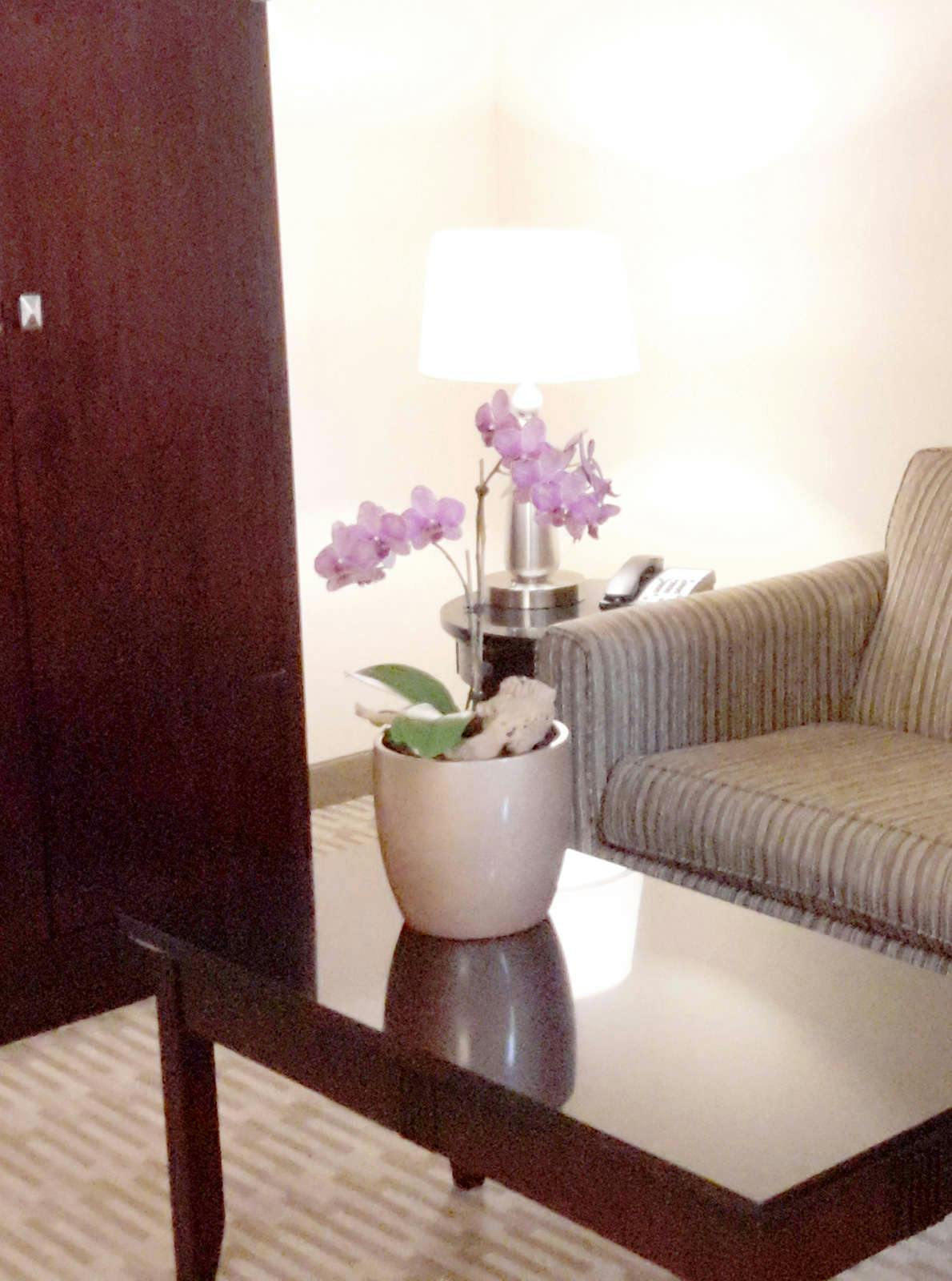 Hotel The Oaks Hotel Paso Robles photo 5