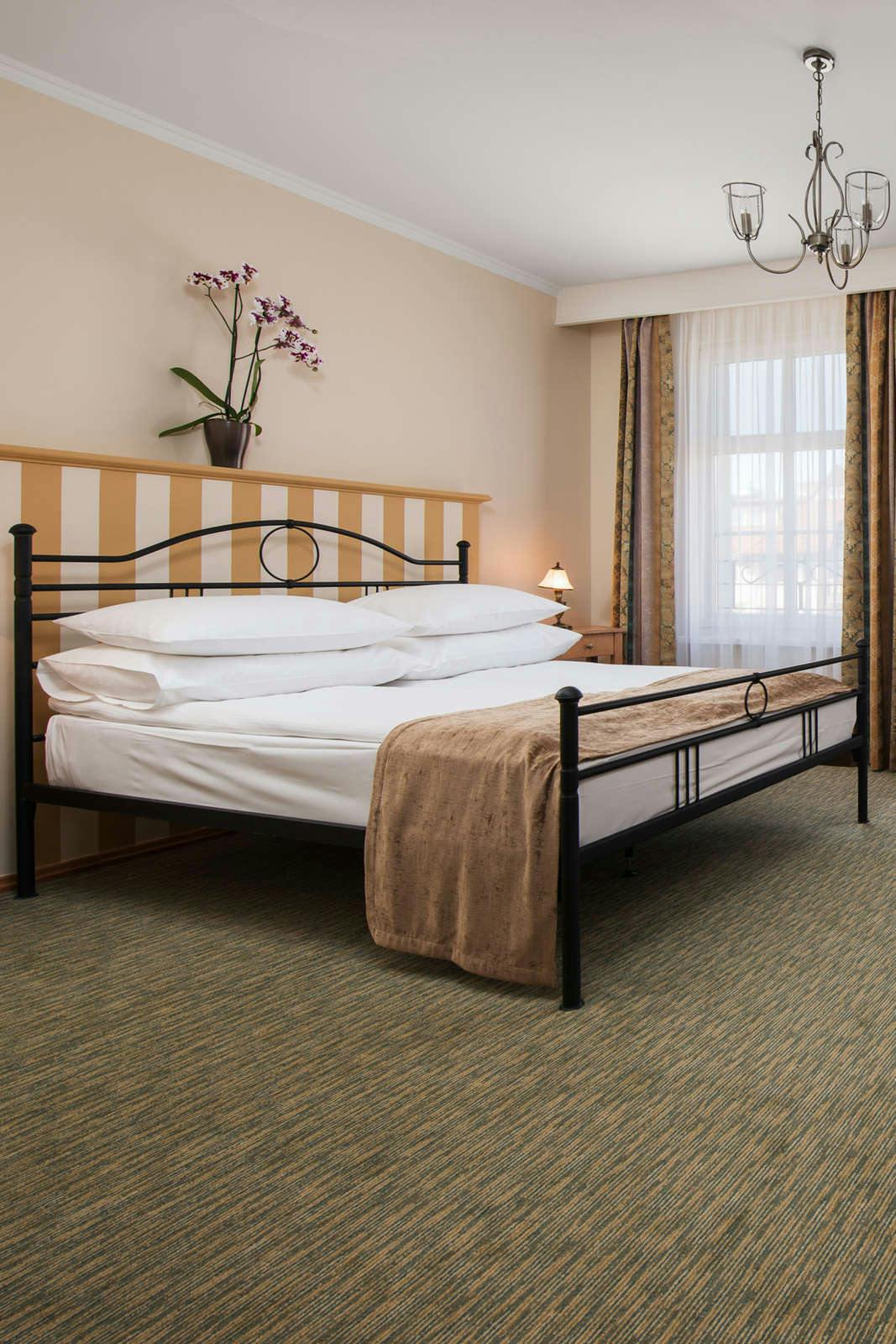 Hotel Hotel Sedan photo 3