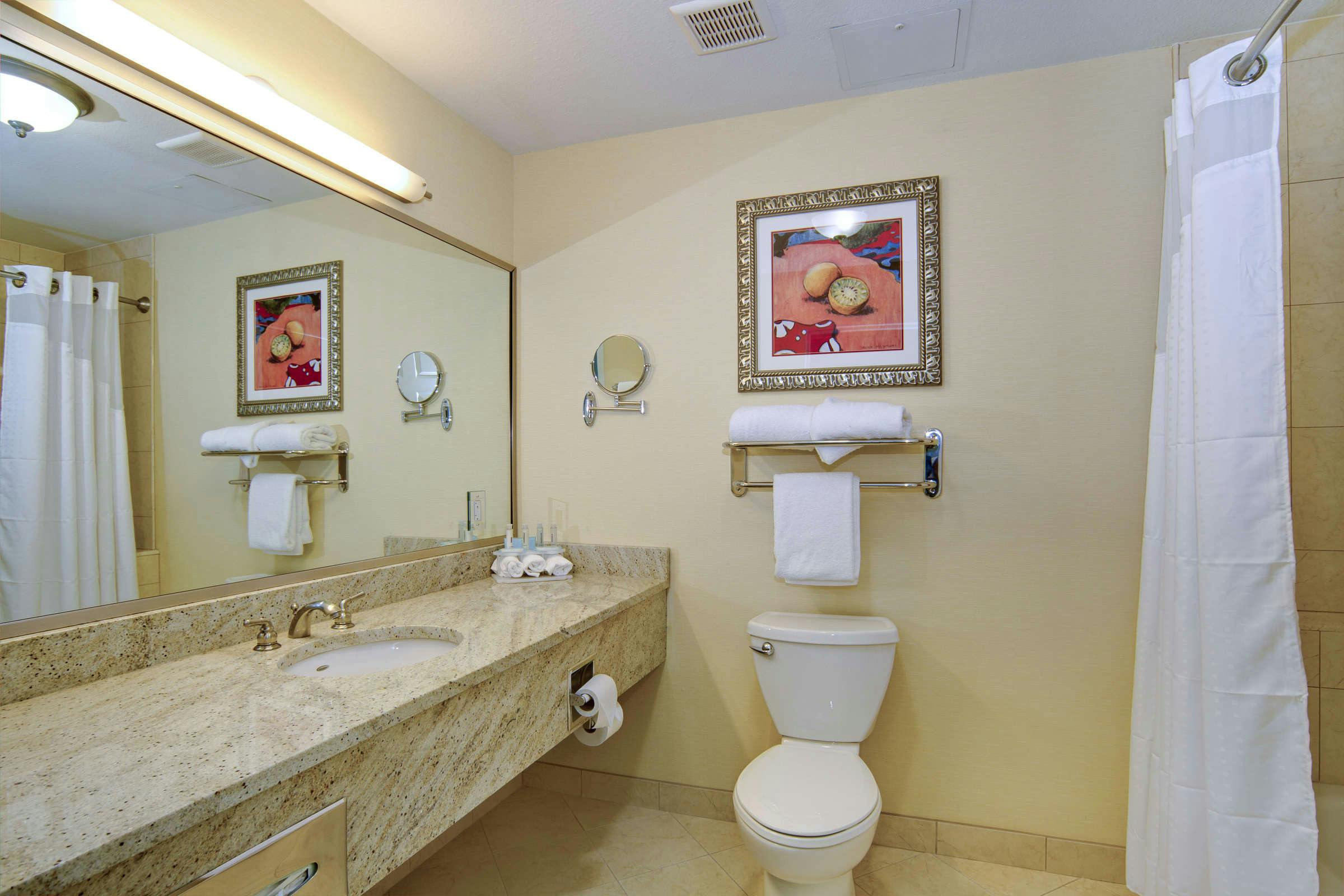 Hotel Holiday Inn Express Telecom Park photo 3