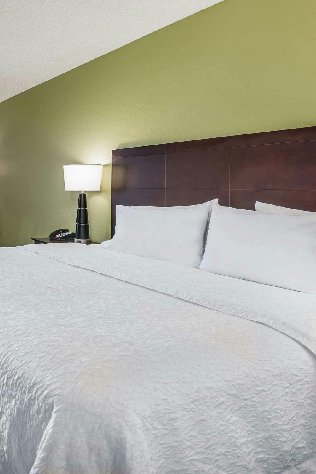 Hotel Hampton Inn Orlando International Airport photo 3